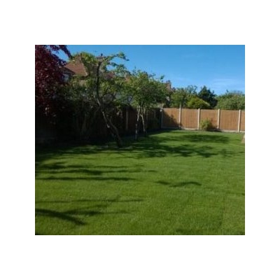 Premium Garden Turf